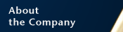 About the Company