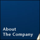 About the Company